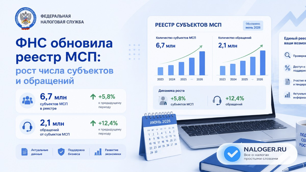 ФНС обновила реестр МСП: рост числа субъектов и обращений